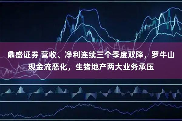 鼎盛证券 营收、净利连续三个季度双降，罗牛山现金流恶化，生猪地产两大业务承压