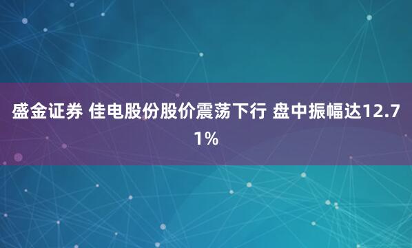 盛金证券 佳电股份股价震荡下行 盘中振幅达12.71%