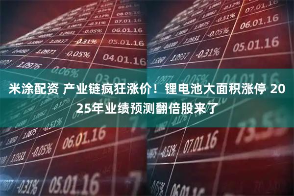米涂配资 产业链疯狂涨价!锂电池大面积涨停 2025年业绩预测翻倍股来了