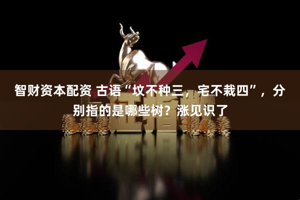 智财资本配资 古语“坟不种三，宅不栽四”，分别指的是哪些树？涨见识了